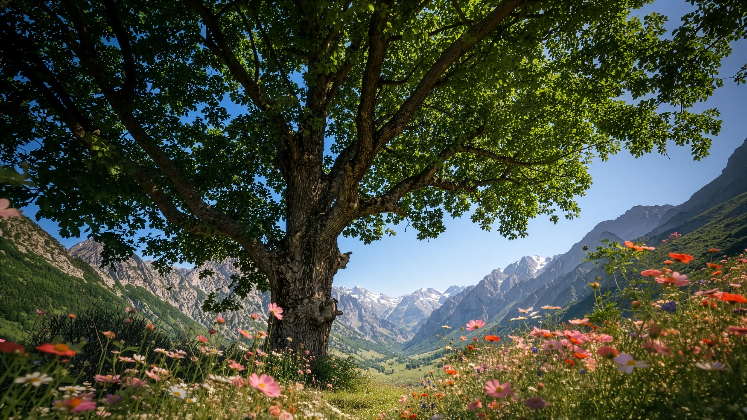 The great tree in the valley meadow